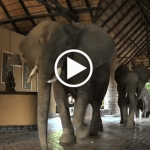 HOT TIRES TOURS AND TRAVEL